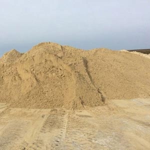 Купить лесной песок в Сертолове Купить лесной песок в Сертолове